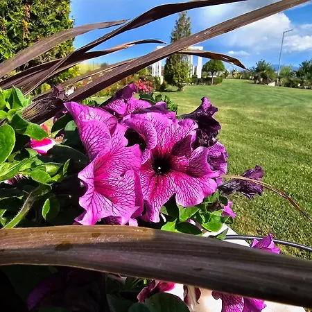 Diamond Sarafovo By Kp - Luxury Collection, 5 Apartament Burgas City