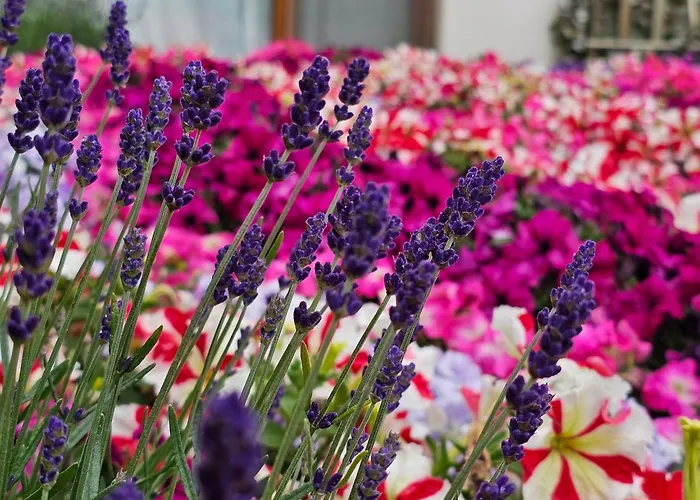 Apartamento Diamond Sarafovo By Kp - Luxury Collection, 5 Burgas