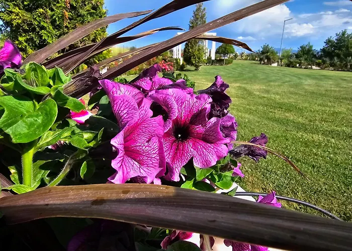 Diamond Sarafovo By Kp - Luxury Collection, 5 Apartamento Burgas